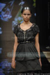 Paola Frani Milan 2007 Fashion Week Photo